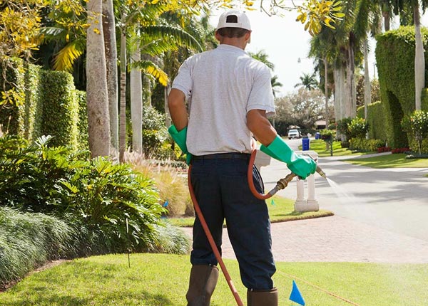 About Walpole MA Pest Control Pros
